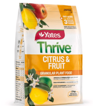 Growing and Caring for Lemon Trees Guide