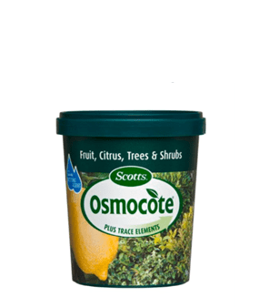 Growing and Caring for Lemon Trees Guide