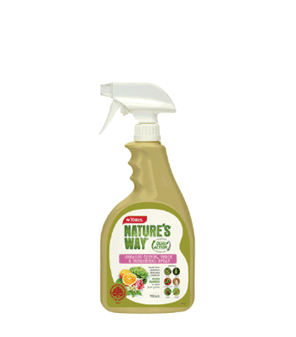 Growing and Caring for Lemon Trees Guide