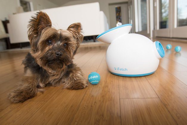 Pet's life with the ultimate tech gadgets