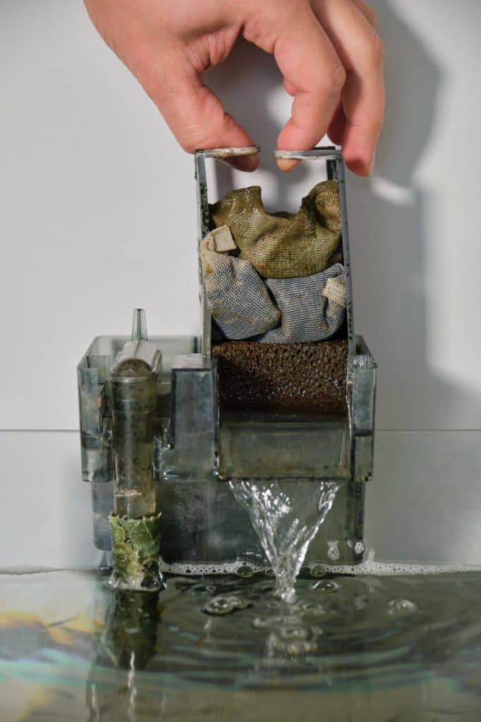 setting up essentials