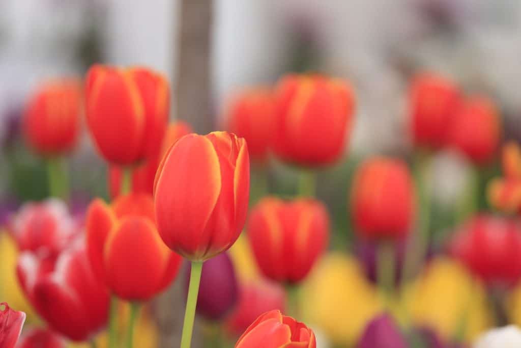 Why Does Timing Matter